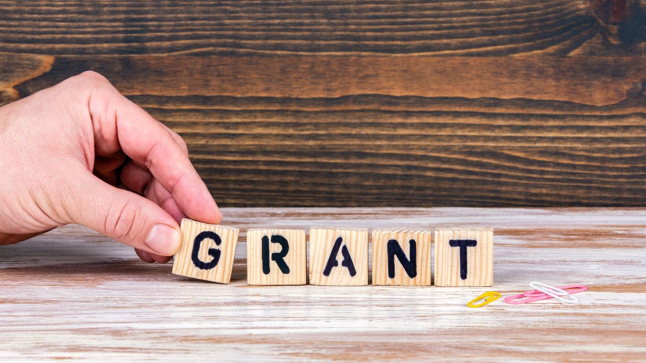 Singapore government grants