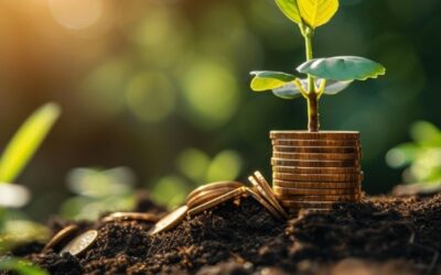 How Much Does It Really Cost to Incorporate and Maintain a Singapore Company Annually?