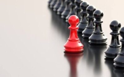 Incorporating a Company with Multiple Founders: Shareholders’ Agreements and Founder Roles