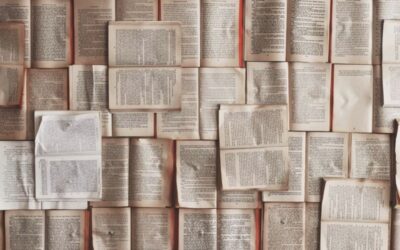 How to Choose the Right Constitution for Your Singapore Company