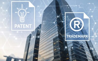 Incorporating a Company to Hold Intellectual Property in Singapore: Pros and Cons