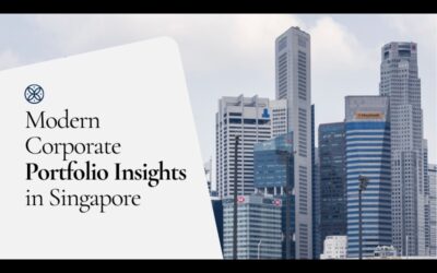 What Is a Segregated Portfolio Company and When Might It Be Relevant to You?
