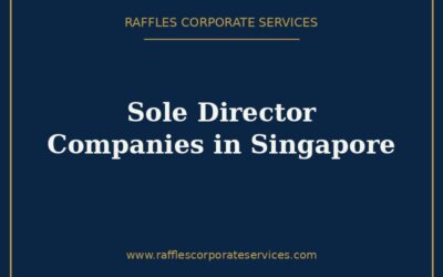 Sole Director Companies in Singapore (2026): Rules, Risks & Requirements