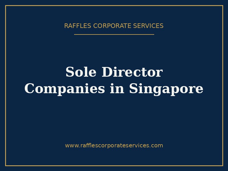 Sole Director Companies in Singapore Sole Director Companies in Singapore