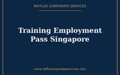 Training Employment Pass Singapore (2026): Eligibility, Salary & Duration