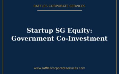 Startup SG Equity (2026): Government Co-Investment for Singapore Startups