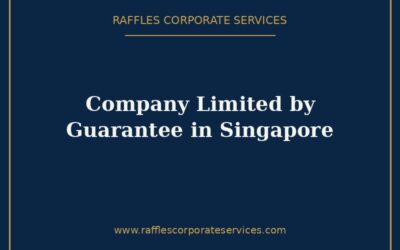 Company Limited by Guarantee in Singapore (2026): Setup, Uses & Compliance