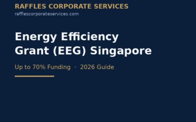 Energy Efficiency Grant (EEG) Singapore 2026: Eligibility, Support & How to Apply