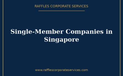 Single-Member Companies in Singapore (2026): One Shareholder, One Director