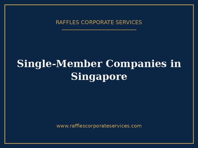 Single-Member Companies in Singapore
