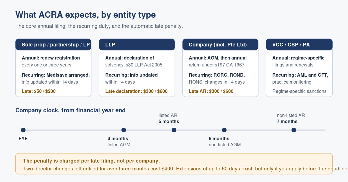 ACRA Compliance Requirements: What Your Entity Type Actually Has to File
