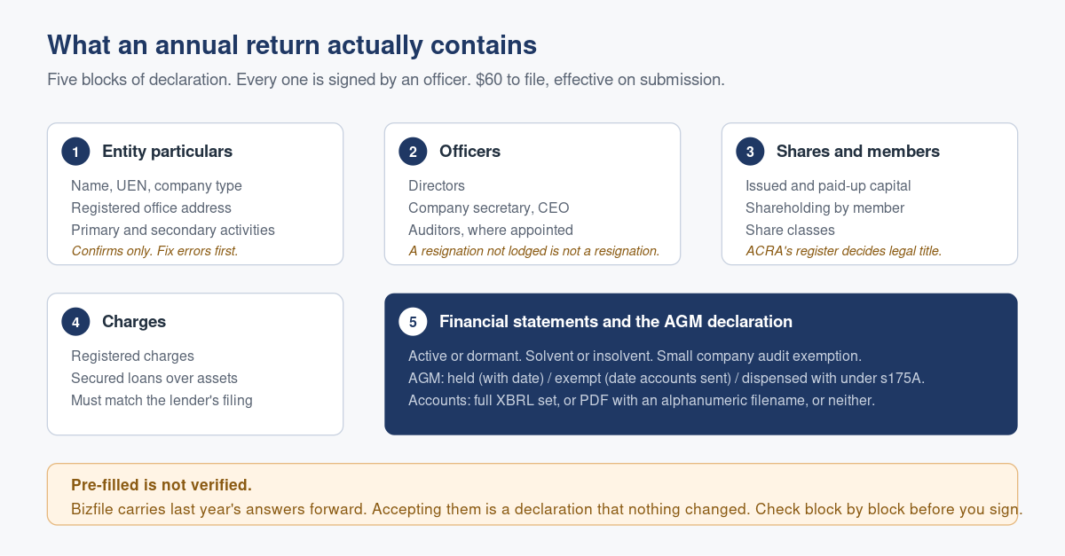 What Actually Goes Into a Singapore Annual Return