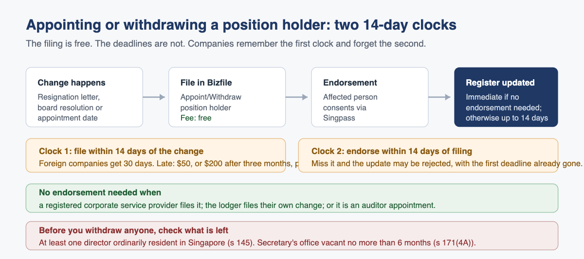 Appointing or withdrawing a position holder: two 14-day clocks