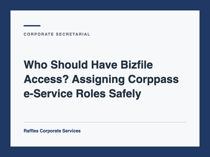 Who Should Have Bizfile Access? Assigning Corppass e-Service Roles Safely