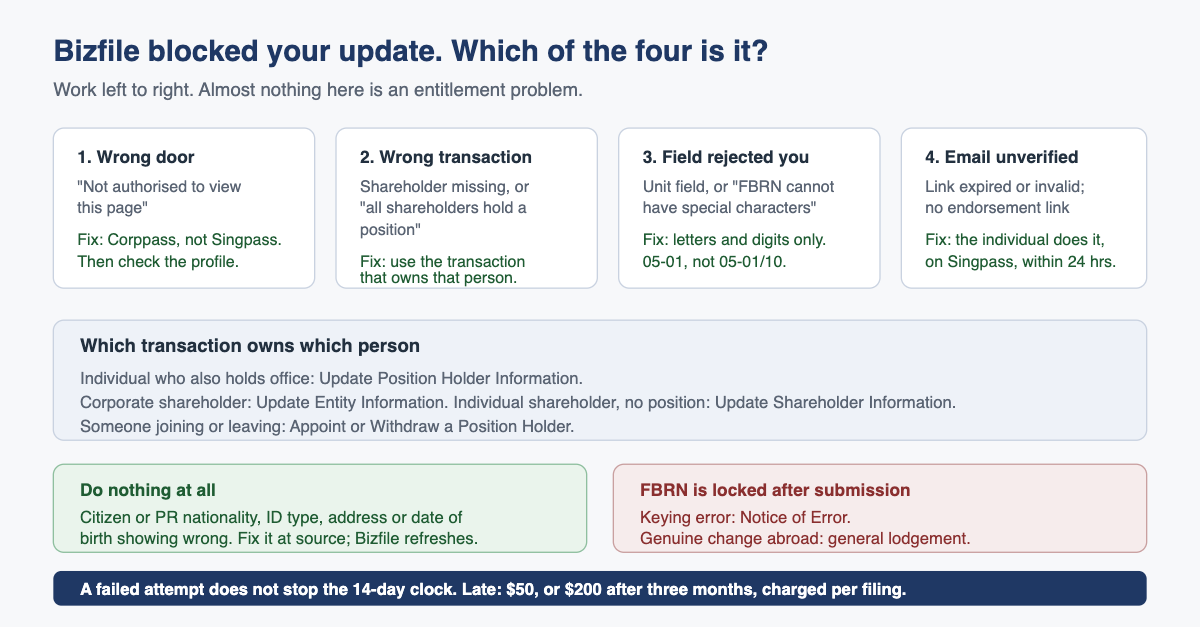 Bizfile update error triage: four causes, the transaction that owns each person, and the 14-day clock