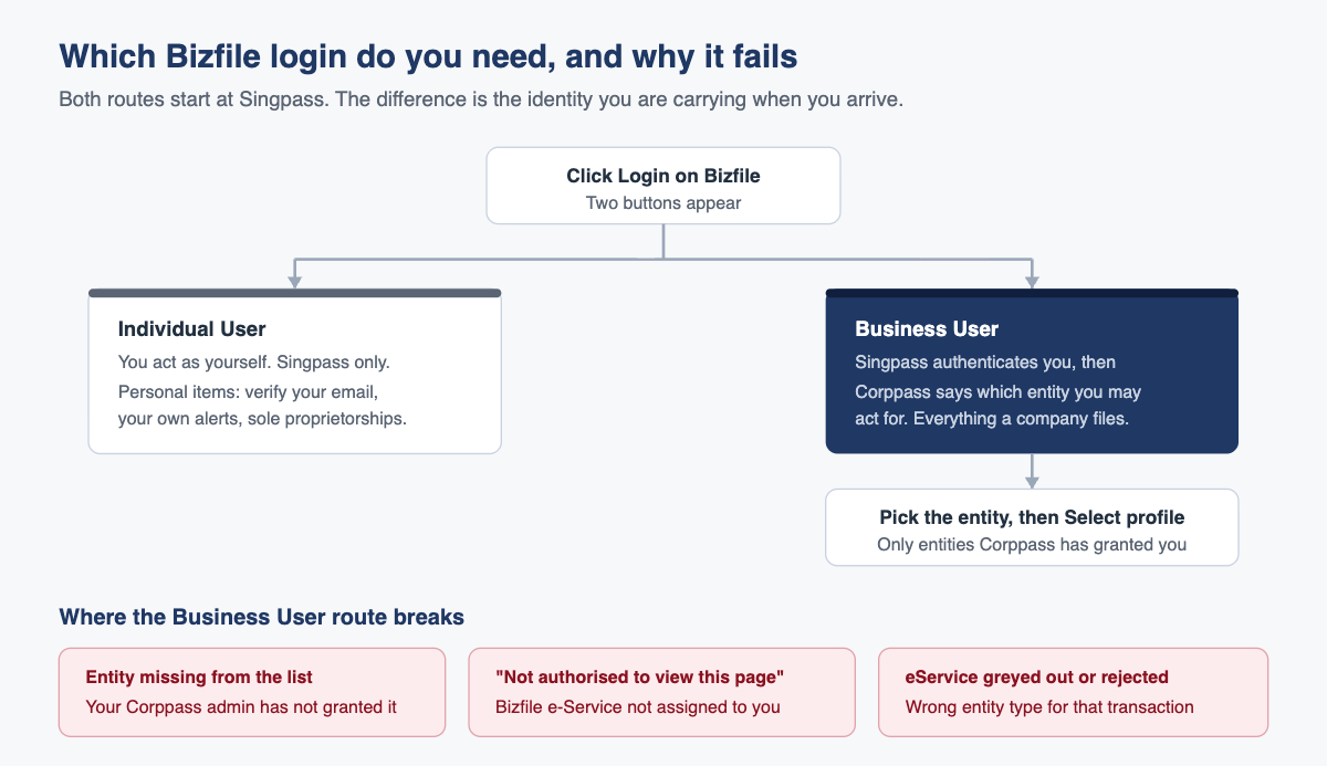 Decision diagram comparing the Individual User and Business User routes into Bizfile, and the three points at which the business user route commonly fails.