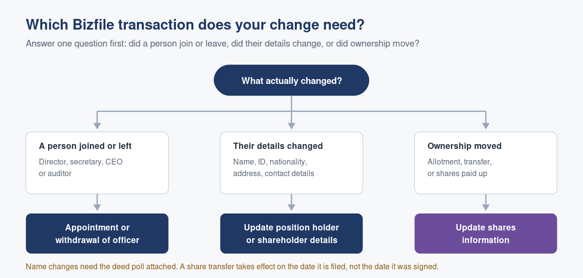 Changing Directors or Shareholders? Here Is Exactly What You File