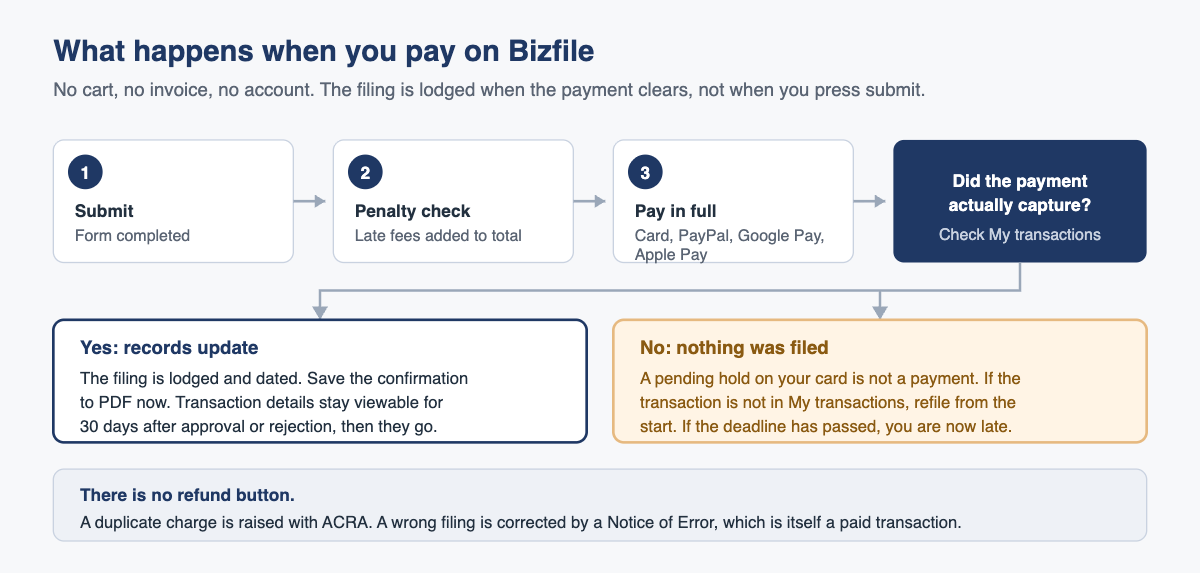 What happens when you pay on Bizfile