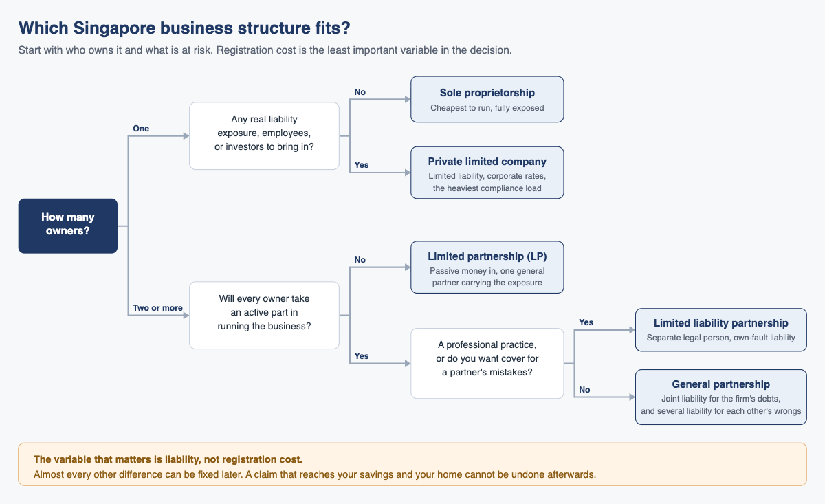 Decision tree for choosing a Singapore business structure based on the number of owners and the liability at risk