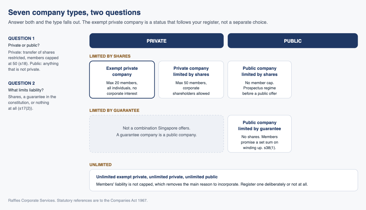 Seven company types, two questions