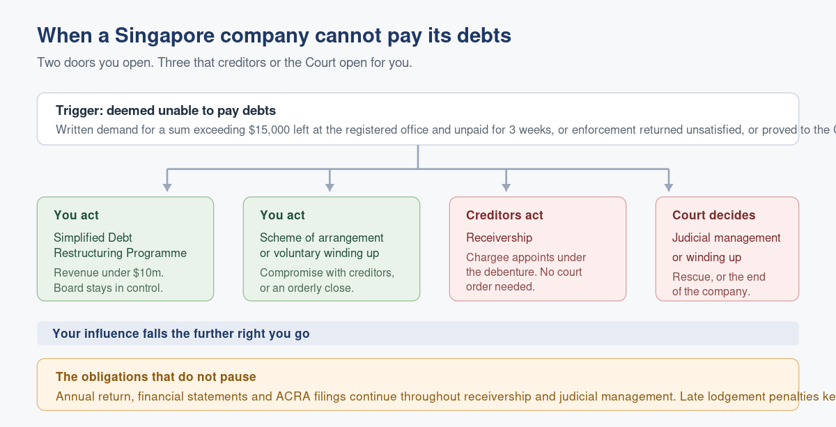 What Happens When Your Singapore Company Cannot Repay Its Debts