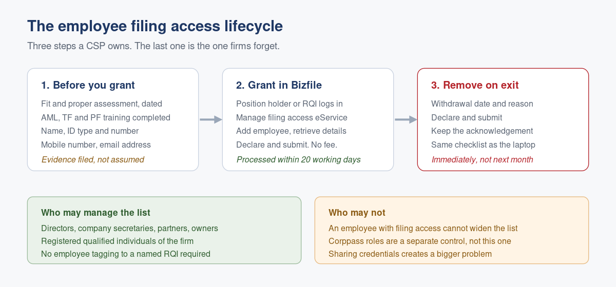 Managing Employees' Filing Access as a Registered CSP