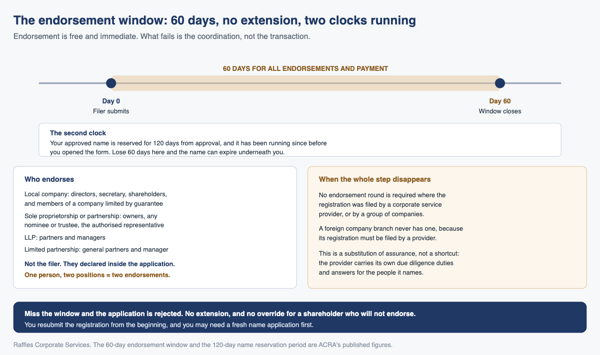 The endorsement window: 60 days, no extension, two clocks running