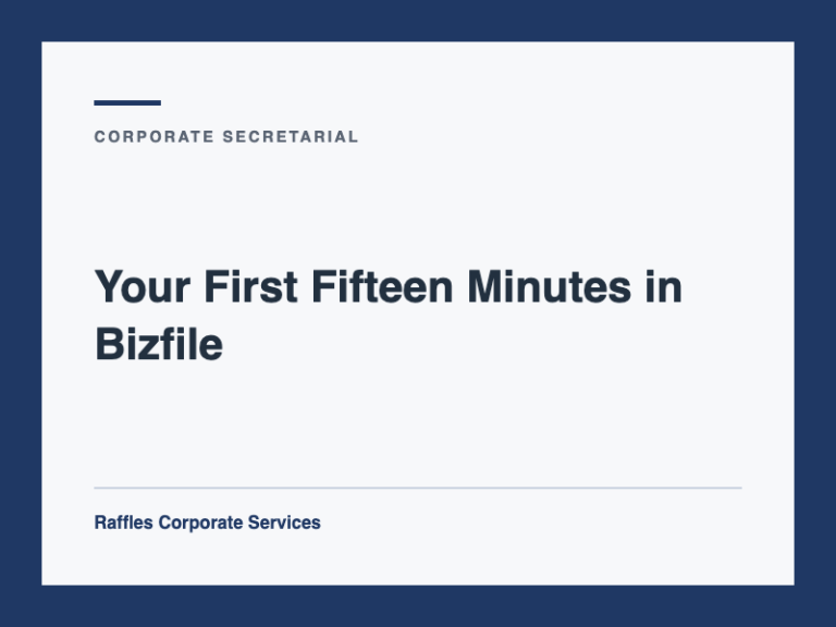 Your First Fifteen Minutes in Bizfile