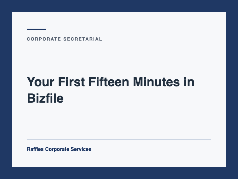 Your First Fifteen Minutes in Bizfile