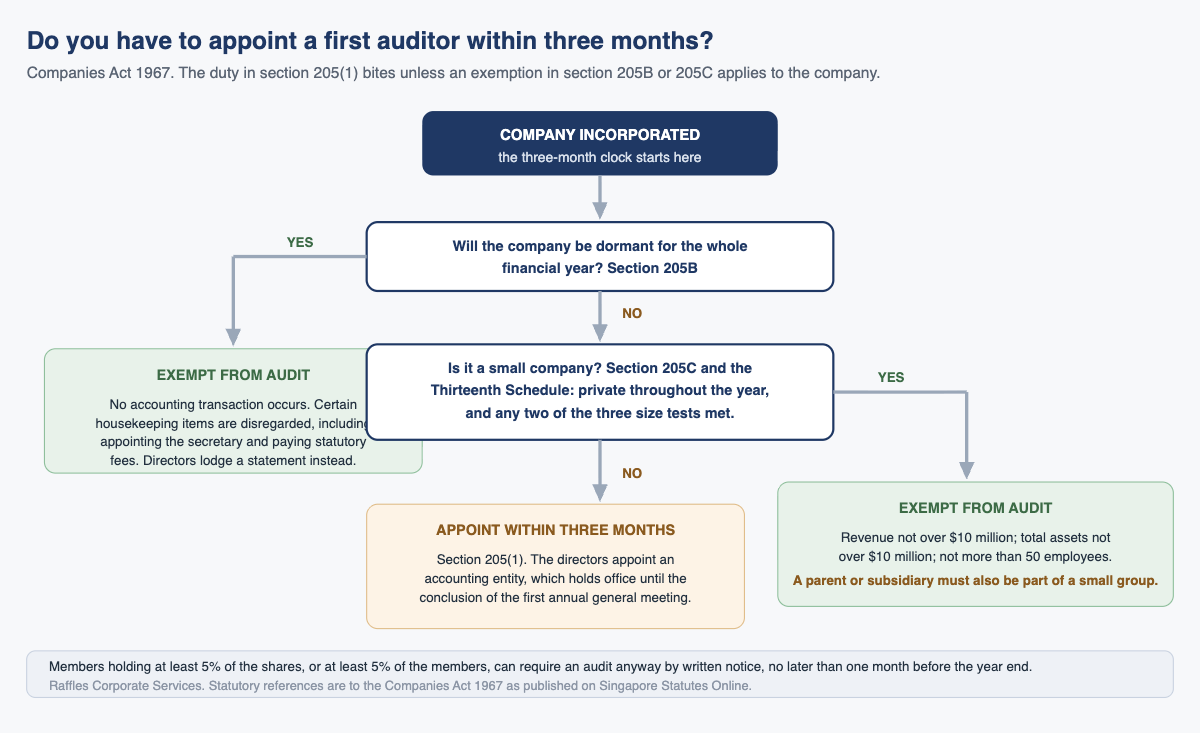 Do you have to appoint a first auditor within three months?