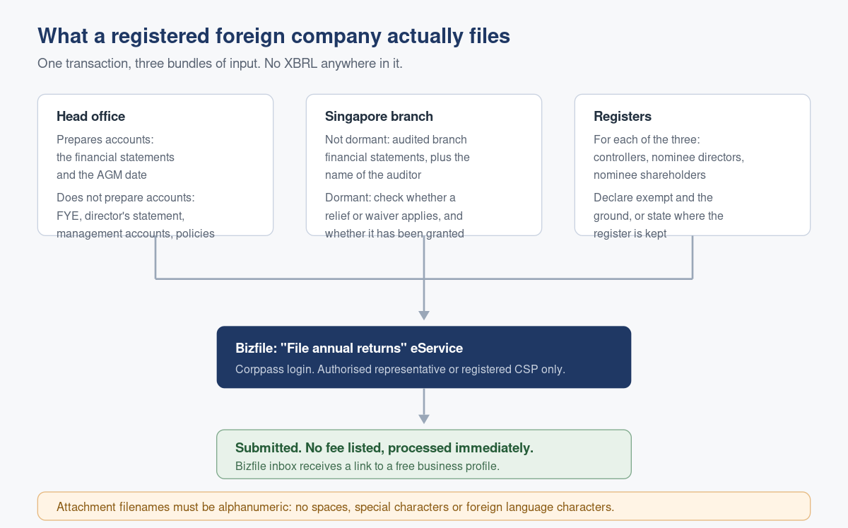 Filing Financial Statements for a Foreign Company: The Route That Is Not XBRL