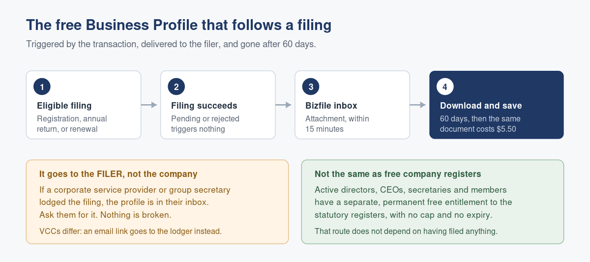 The Free Business Profile You Get After Filing, and How People Lose It