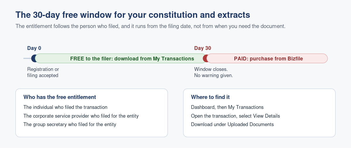 Your Free Constitution and Extracts from Bizfile: The 30-Day Window