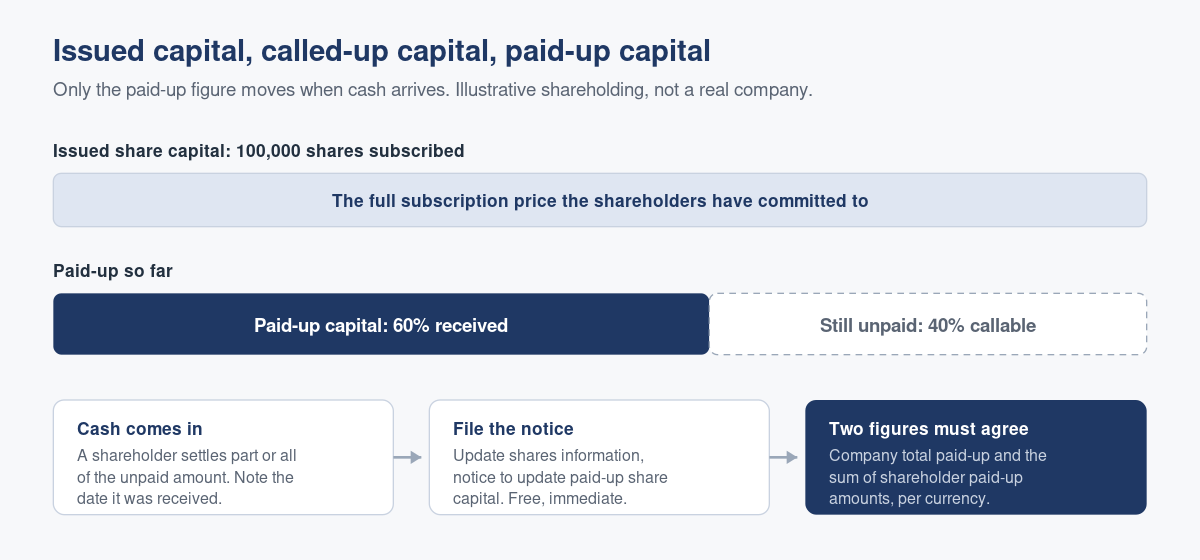 Partly Paid Shares: Filing the Notice When Your Paid-Up Capital Changes