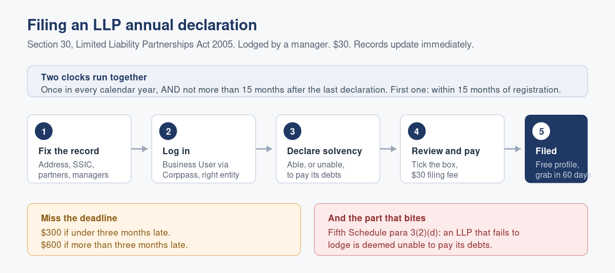 How to File Your LLP's Annual Declaration in Singapore