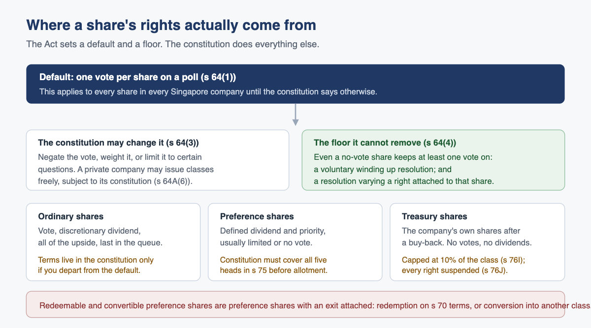 Where a share's rights come from: the section 64(1) default, the constitution, the section 64(4) floor, and the three main share types