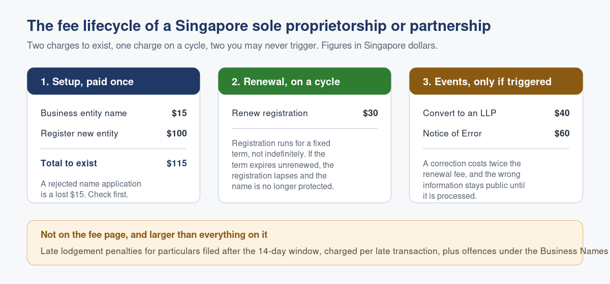 ACRA Fees for a Sole Proprietorship or Partnership: The Full Cost of Being Registered