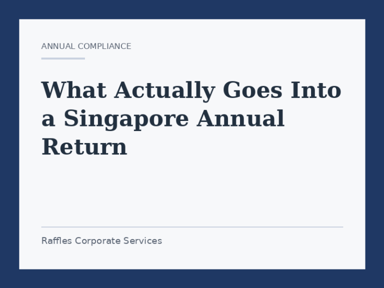 What Actually Goes Into a Singapore Annual Return