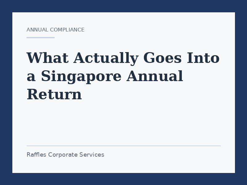 What Actually Goes Into a Singapore Annual Return