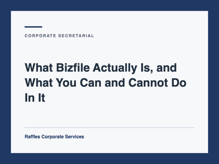 What Bizfile Actually Is, and What You Can and Cannot Do In It