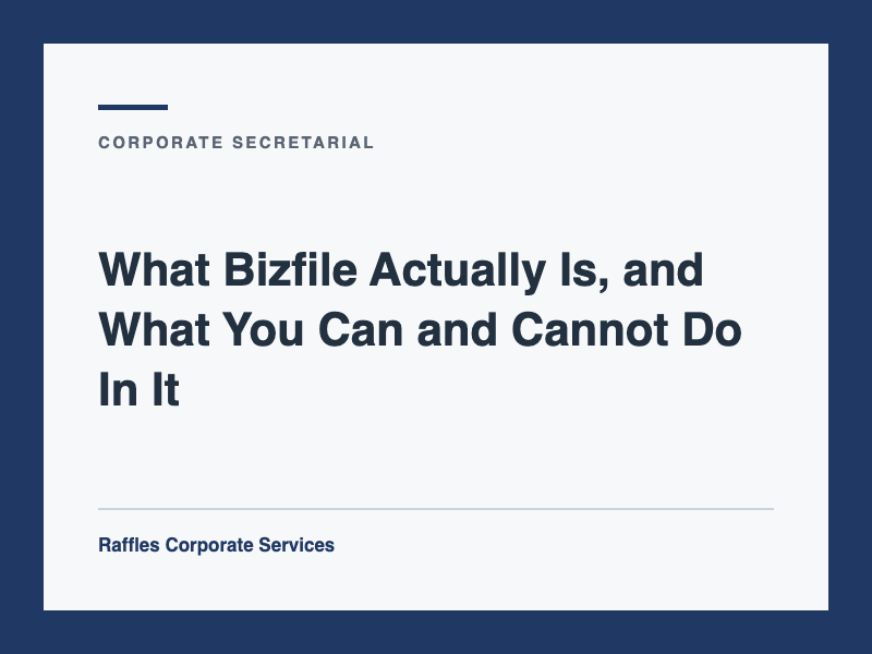 What Bizfile Actually Is, and What You Can and Cannot Do In It