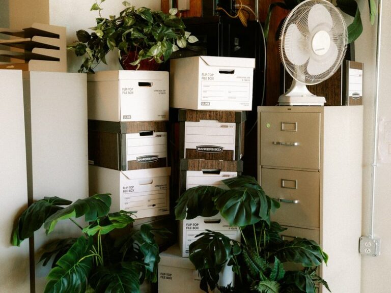 Stacked file boxes beside a filing cabinet and plants in an office corner, representing business records moving from an LLP to a new company